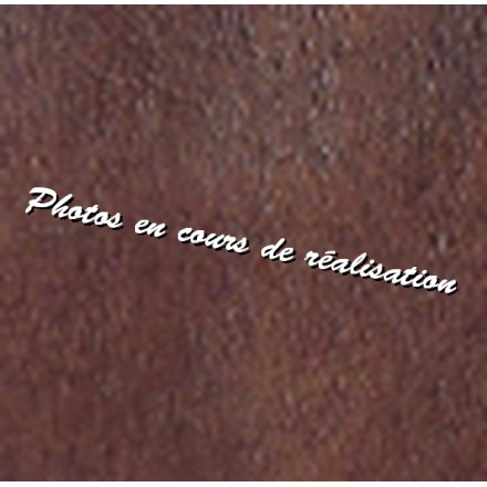 Poignée de transport cuir