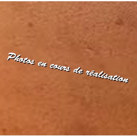Poignée de transport cuir