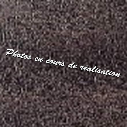 Poignée de transport cuir