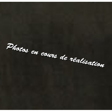 Poignée de transport cuir