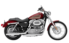 Sportster 883 Custom