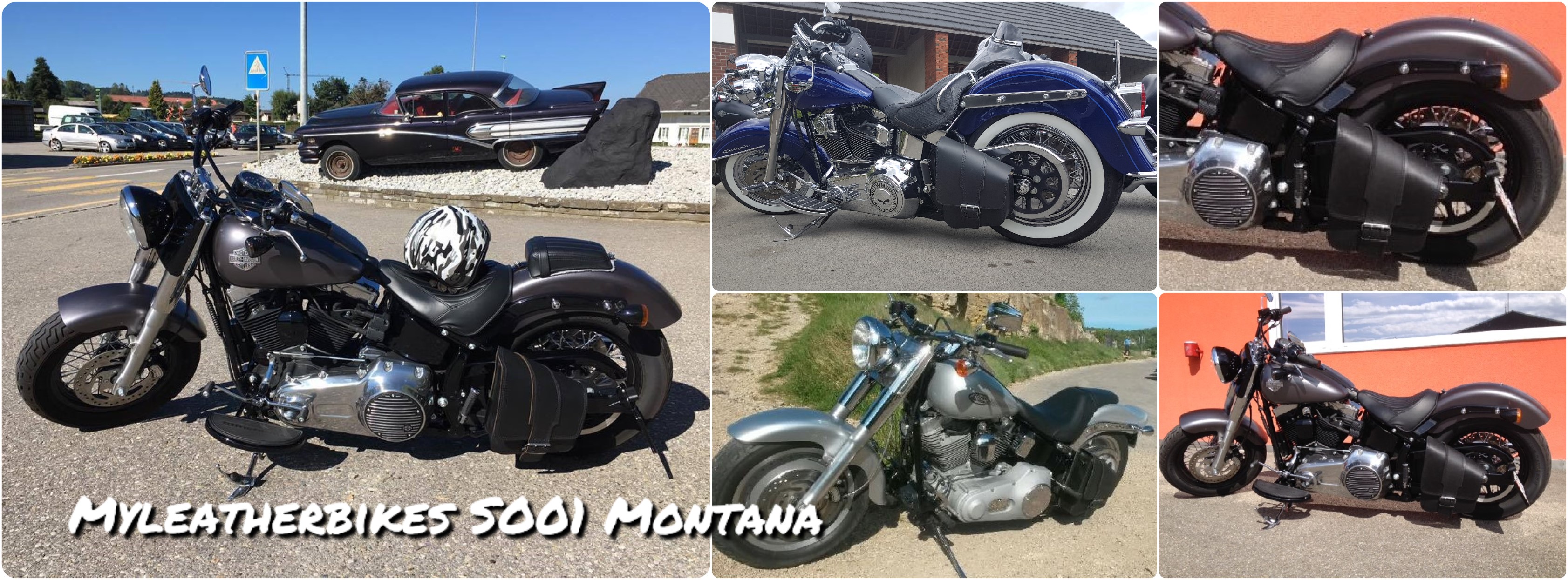 sacoche softail so01 montana