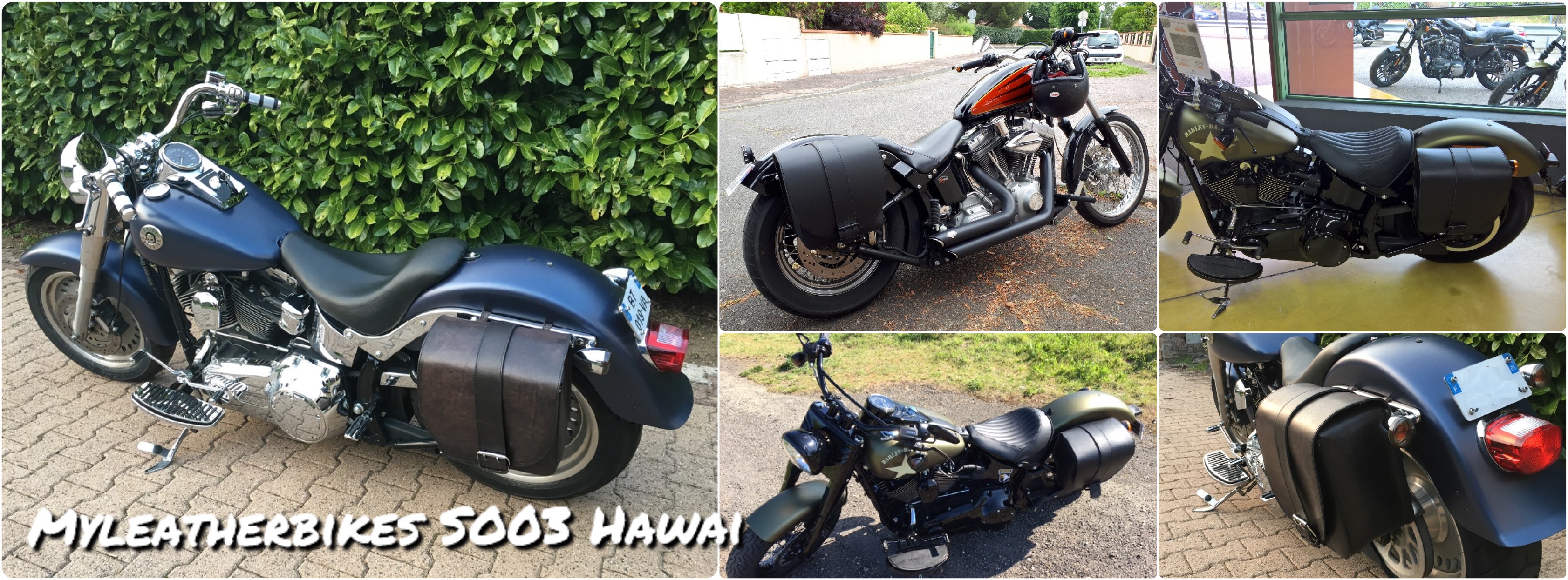 sacoche softail so03 hawai