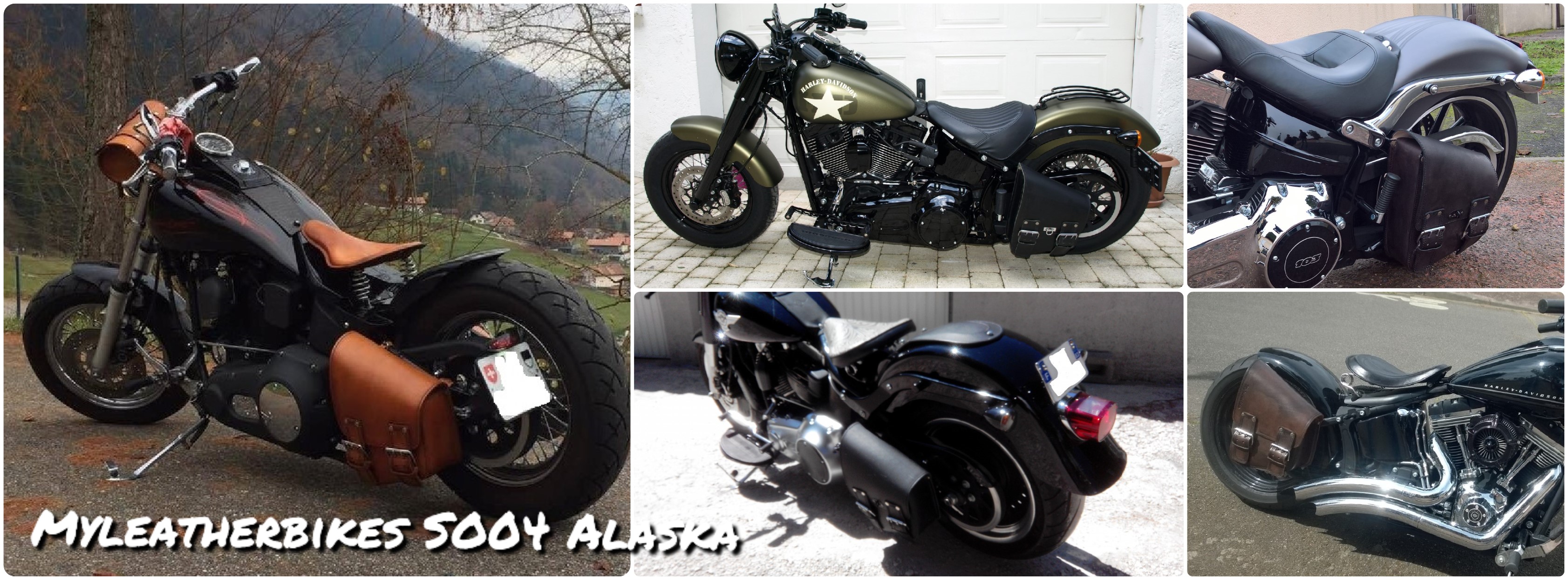 sacoche softail so04 Alaska