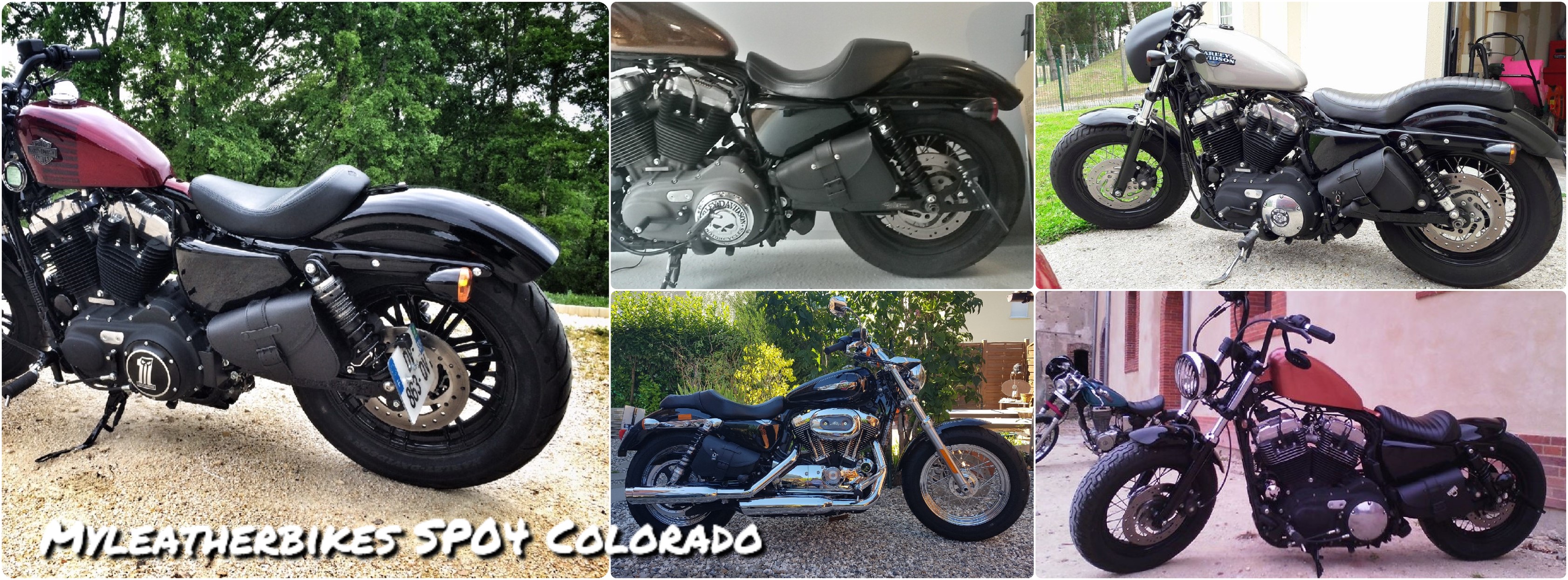 sacoche sportster sp04 colorado