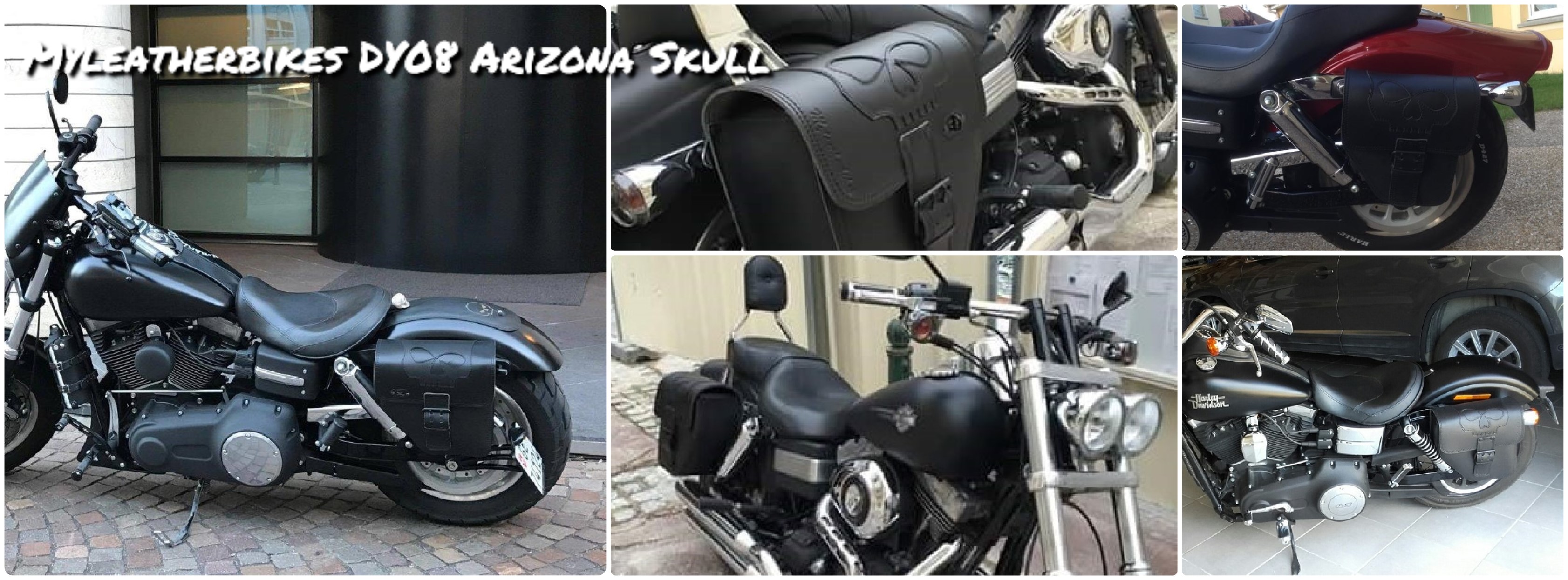 sacoche-dyna-dy08-arizona-skull